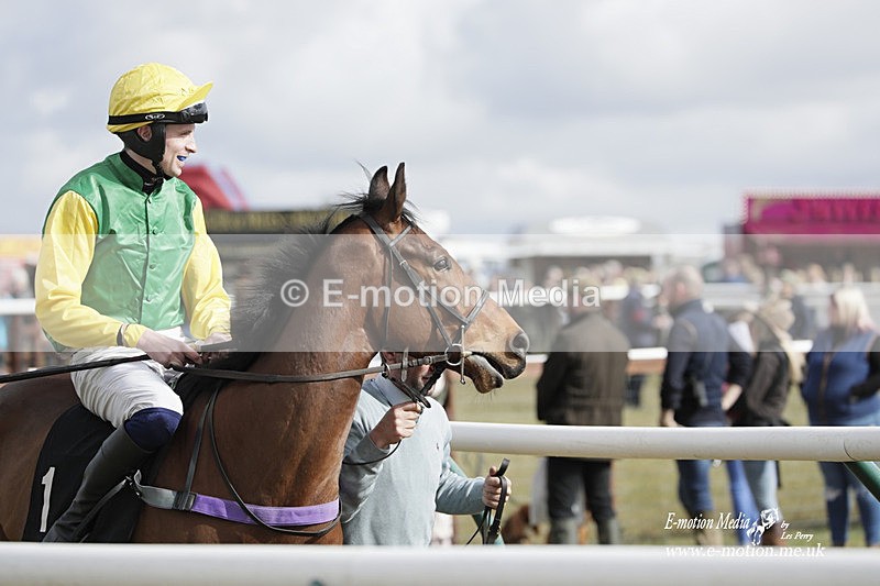 PtP 180323 267 - Shelfield Park Races with Croome & West Warwickshire Hunt  18/03/23