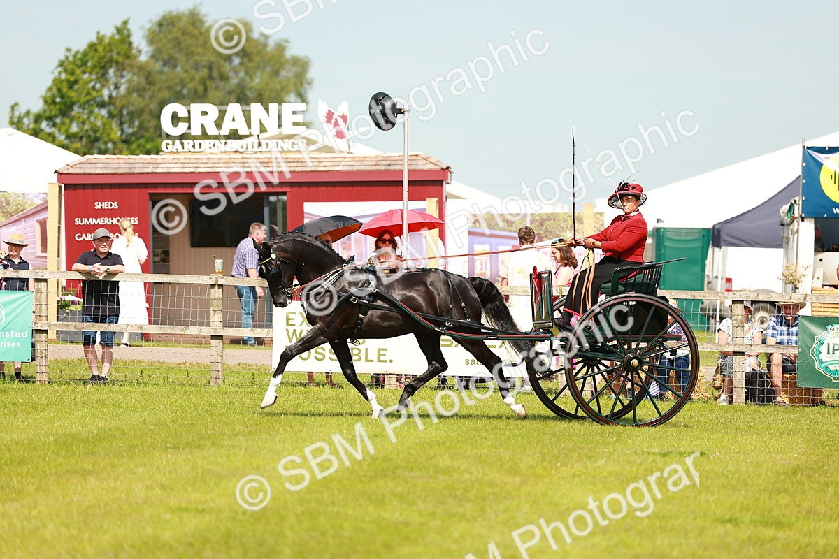SBM_02881 - Class 2-4 - HOYS Private Driving