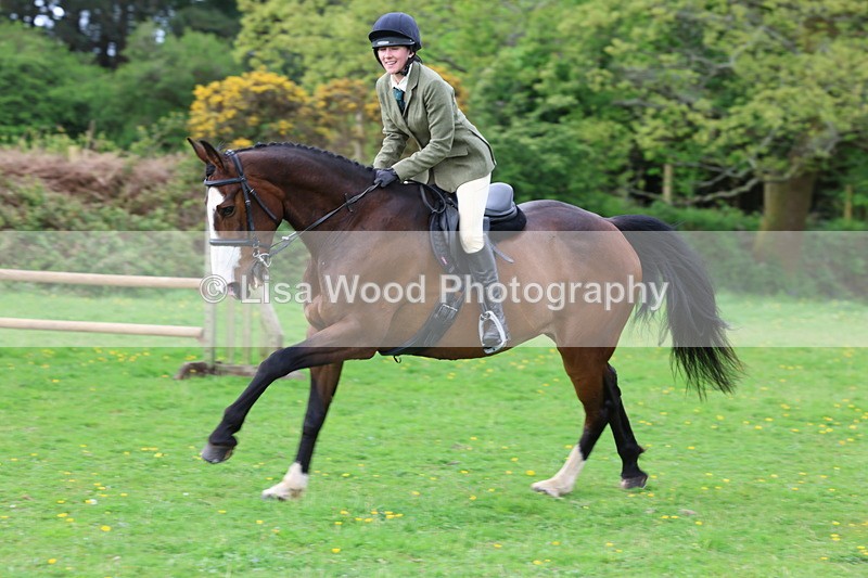 3E7A2515 - Classes 30 and 31: 80cm Working Hunter