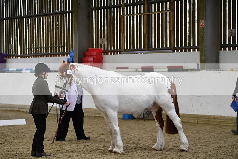 WJ5_5055 - Class 7 In hand coloured / odd coloured