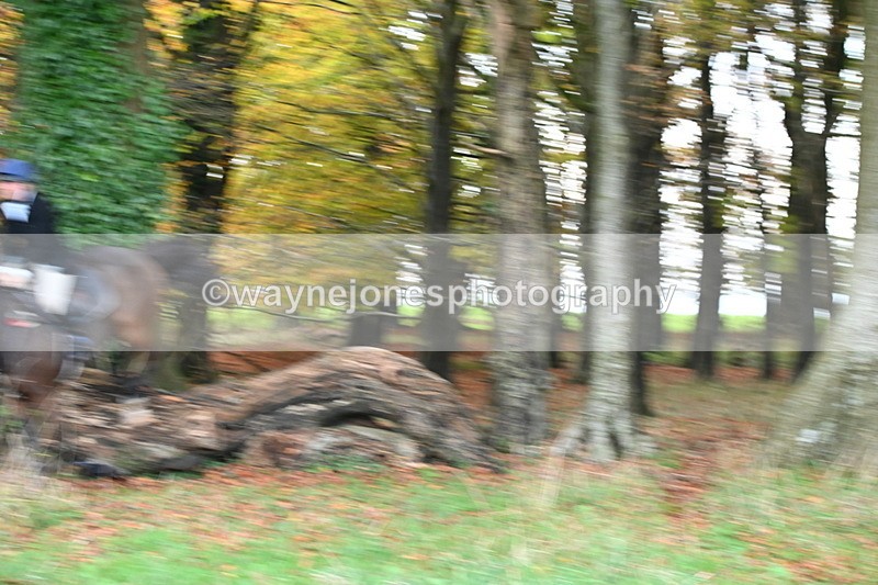 WJ6_9468 - Camera 2