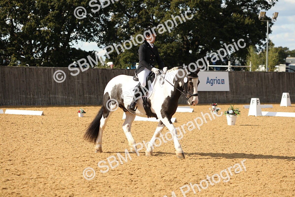 SBM_26683 - D17 - Grand Tour Championship - Novice 27