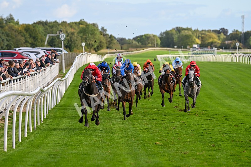 021024-Race 6-Redrosezorro-9623 - Race 6