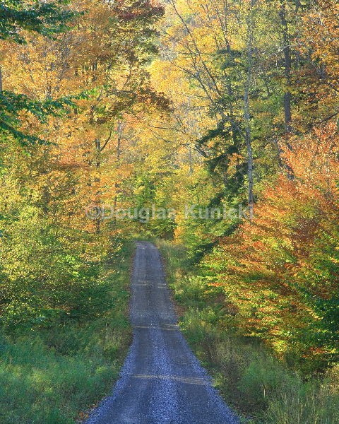 Backroad - Fall and Winter