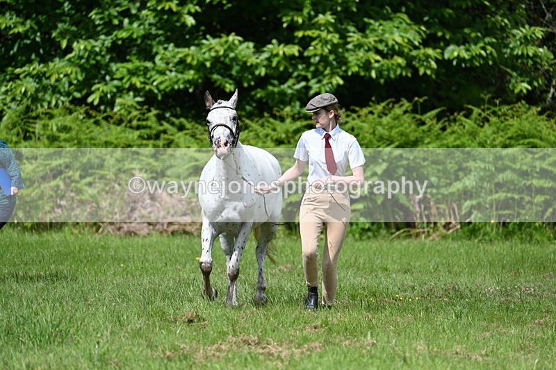 WJ7_1296 - Class 11 Condition & Turnout