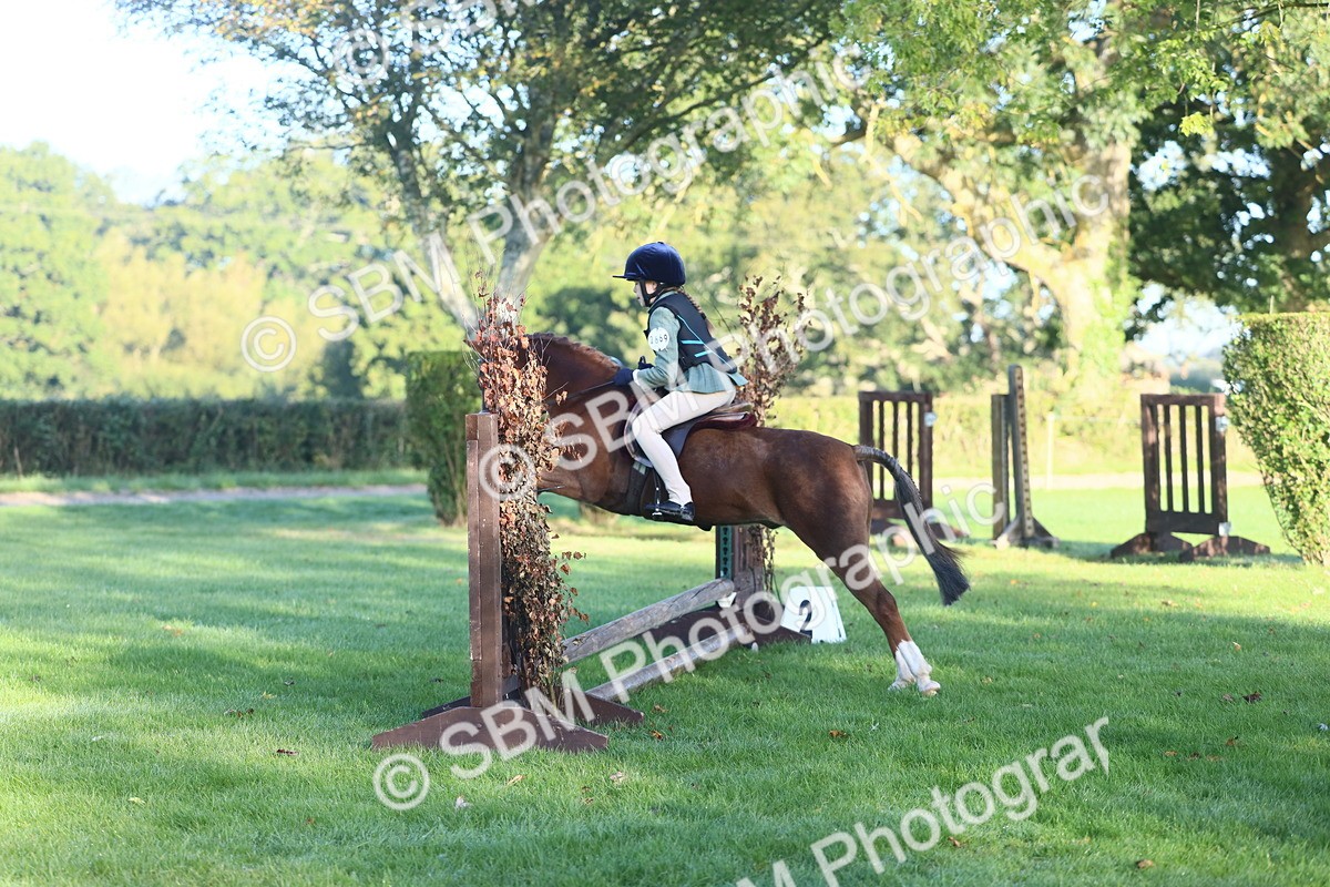 SBM_33398 - S28 - Nursery Stakes Working Hunter Pony