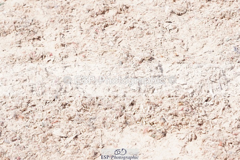 250503-140428-01210 - Cls 27 Stepping Stones