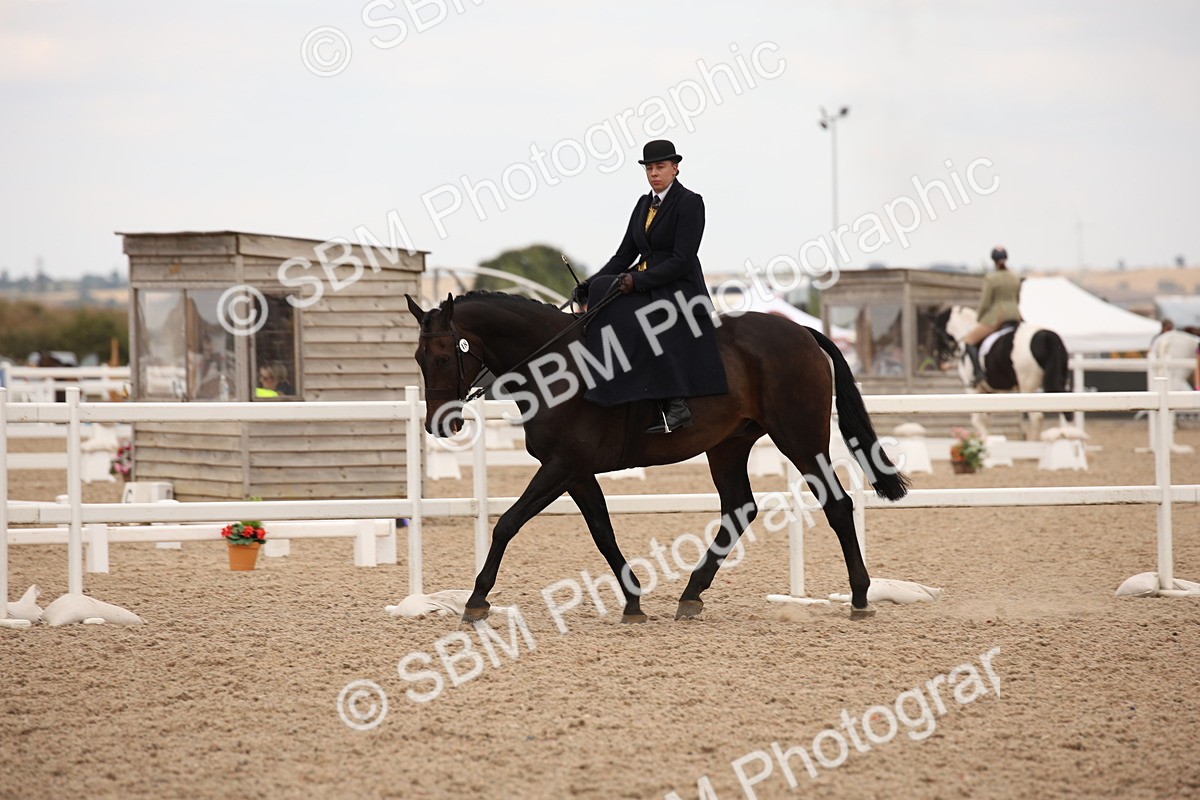 SBM_05446 - Class 22 SSA Equitation