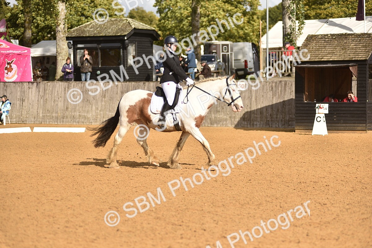 SBM_48870 - D22 - Junior Championship Intro 3
