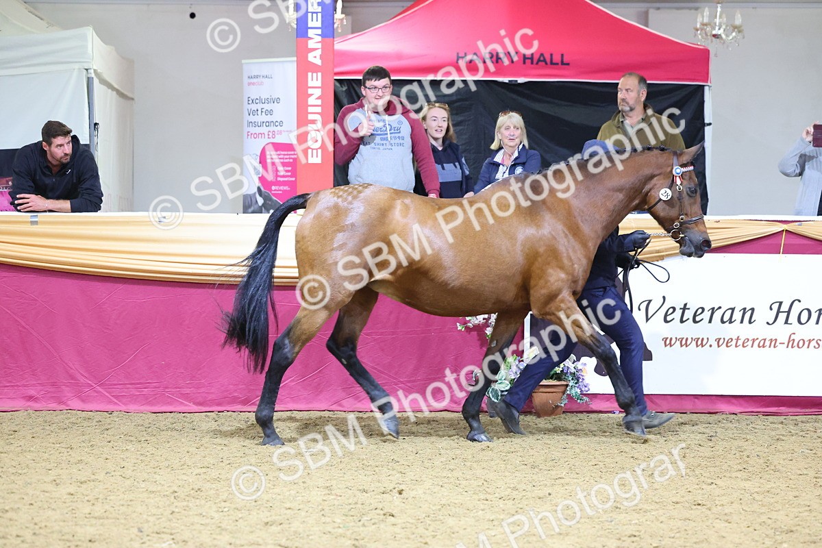 SBM_19641 - Class 901 - Supreme Final - IH Diamond