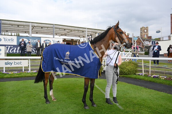 yr12052021r4-52 - Race 4 3.10pm Tattersalls Musidora Stakes