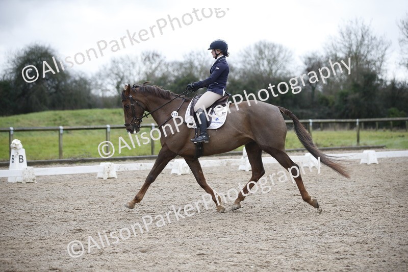 20260127-0285 - Class 16 - BD Novice 2