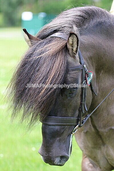 SIAL8246 - Ring 2