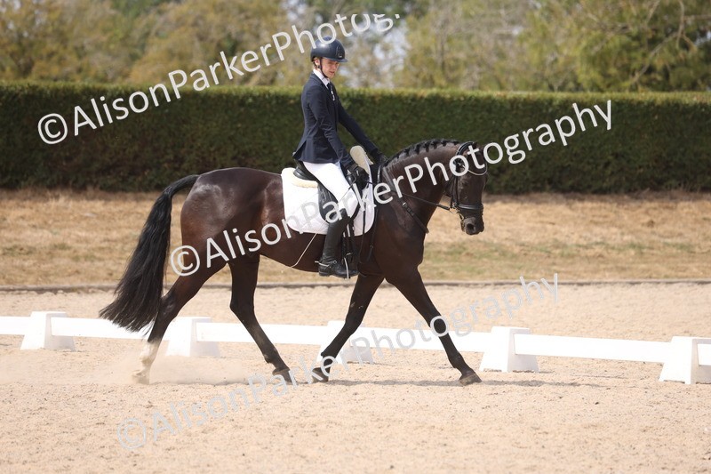 20260816-1078 - Class 4 - Novice 6