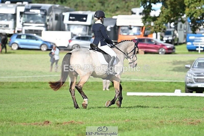 231020-141904-10876 - 664-TEMPLEMORE.WILD.ONE-Bella.Stevens-DR