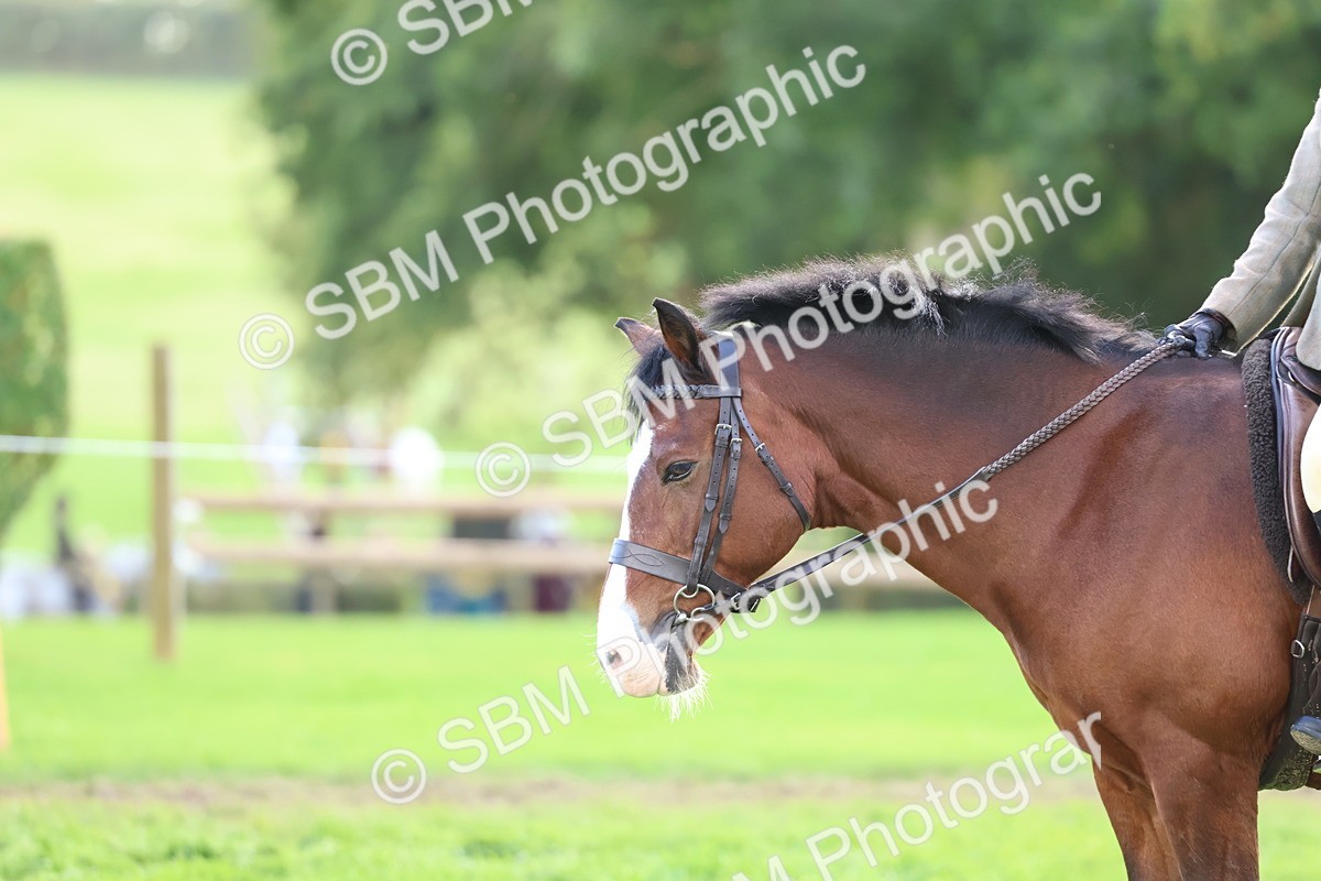 SBM_47745 - S28 - Veteran Ridden