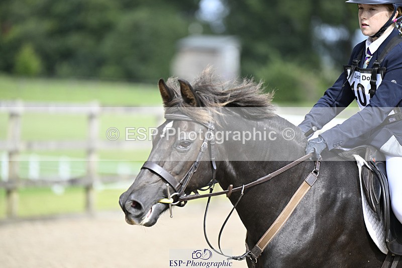 240823X-153912-18816 - 70cm R2 15.20 to 16.40