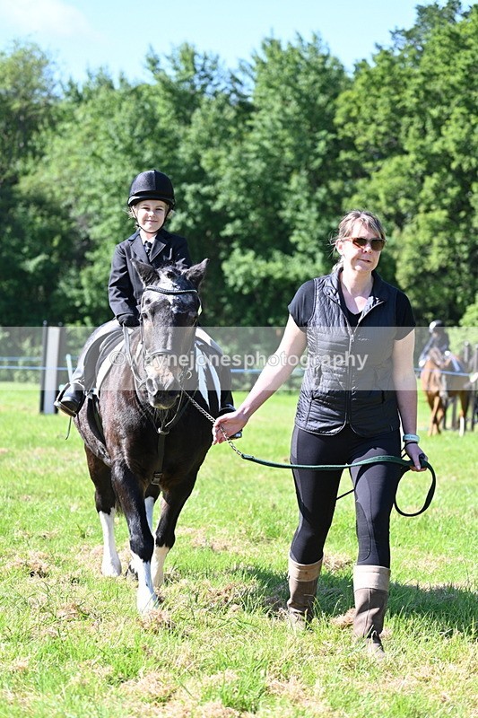 WJ7_0353 - Class 8 First Rally Pony