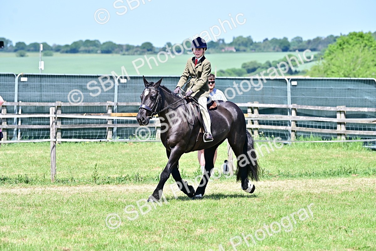 SBM_17478 - Class 95-97 - BSPS LHS Performance Ponies