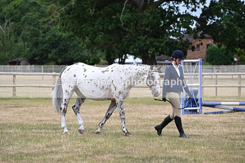 WJ6_4578 - Class 10 Coloured In-hand