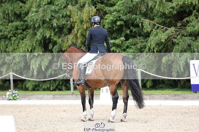 230812-151304-05084 - Cls 5 Novice Bronze 15.00 to End