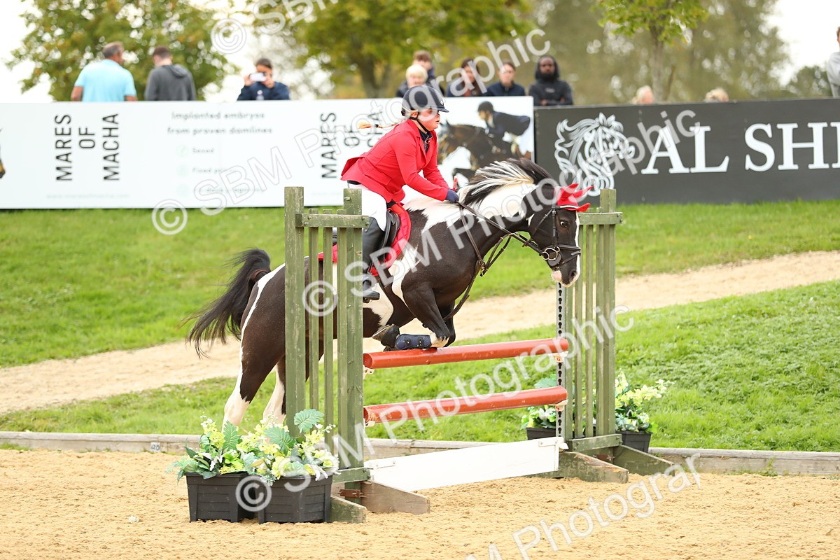 SBM_75994 - J19 - Junior 90cm Supreme Championship