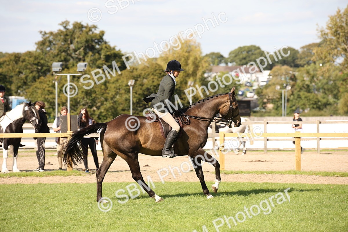 SBM_50062 - S26 - Young Veteran - Ridden