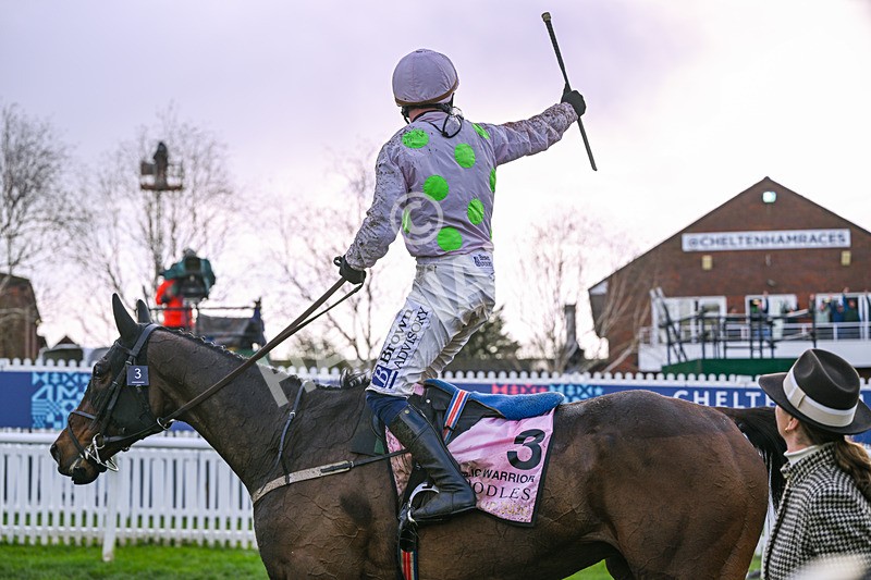 130326-Race 5-Gaelic Warrior-2753 - 13th March