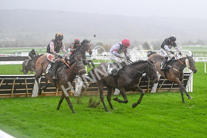141125-Race 1-Lucky Manifest-9072 - Race 1