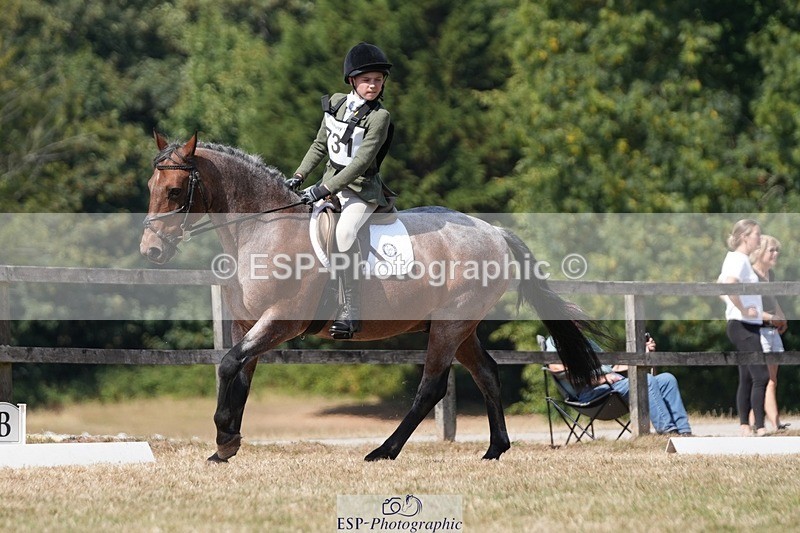 250823A-133430-31226 - Arena A