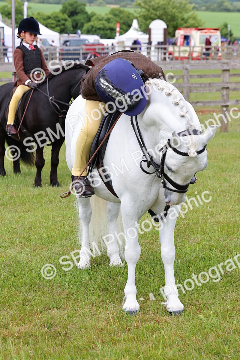 SBM_09637 - Class 44-45 - LIHS BSPS Open Nursery and Cradle Stakes