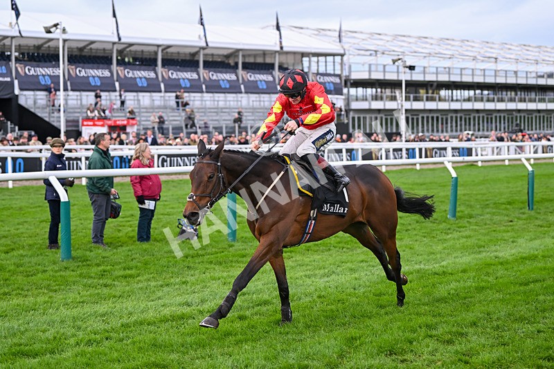 171124-Race 2-Guard Your Dreams-2948 - Race 2