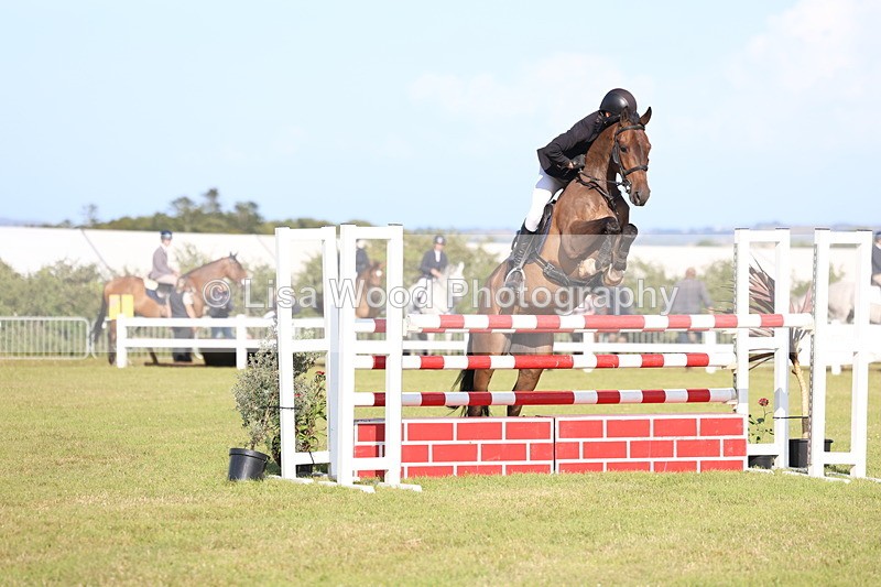 3E7A4321 - Class C: Showjumping Senior Foxhunter