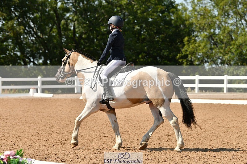 250817-144629-10276 - 172-Lilly.PapworthCammach.Wheres.Whally