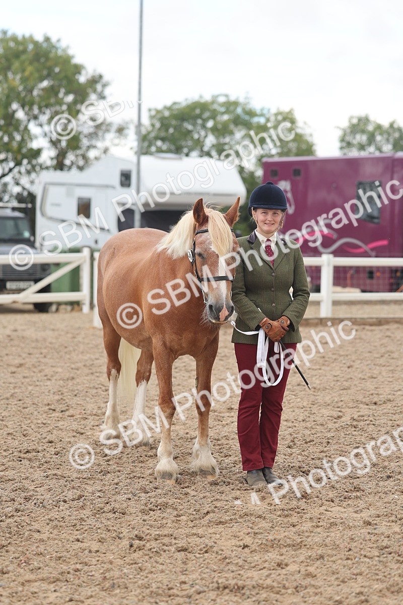 SBM_03270 - Class 16 - IH M&M Wildcard