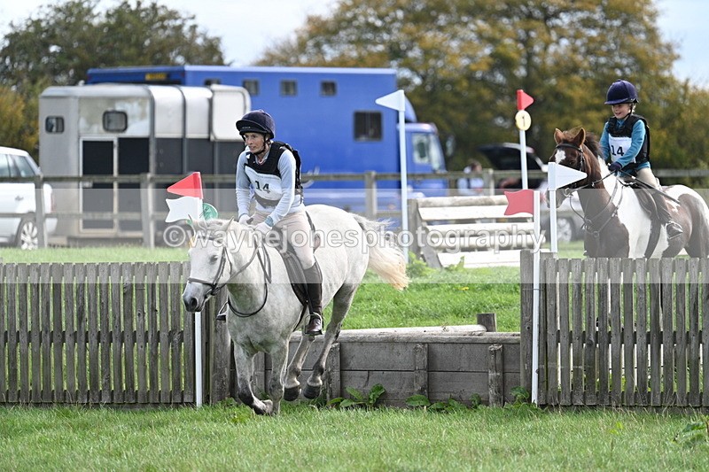 WJ7_8440 - 60cm Pairs