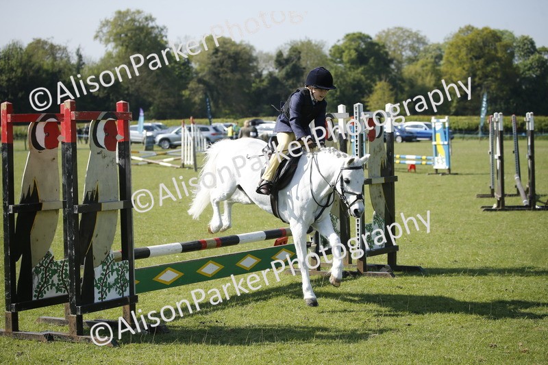 20250427-0410 - Class 12 - Rookie Jumping 40cm