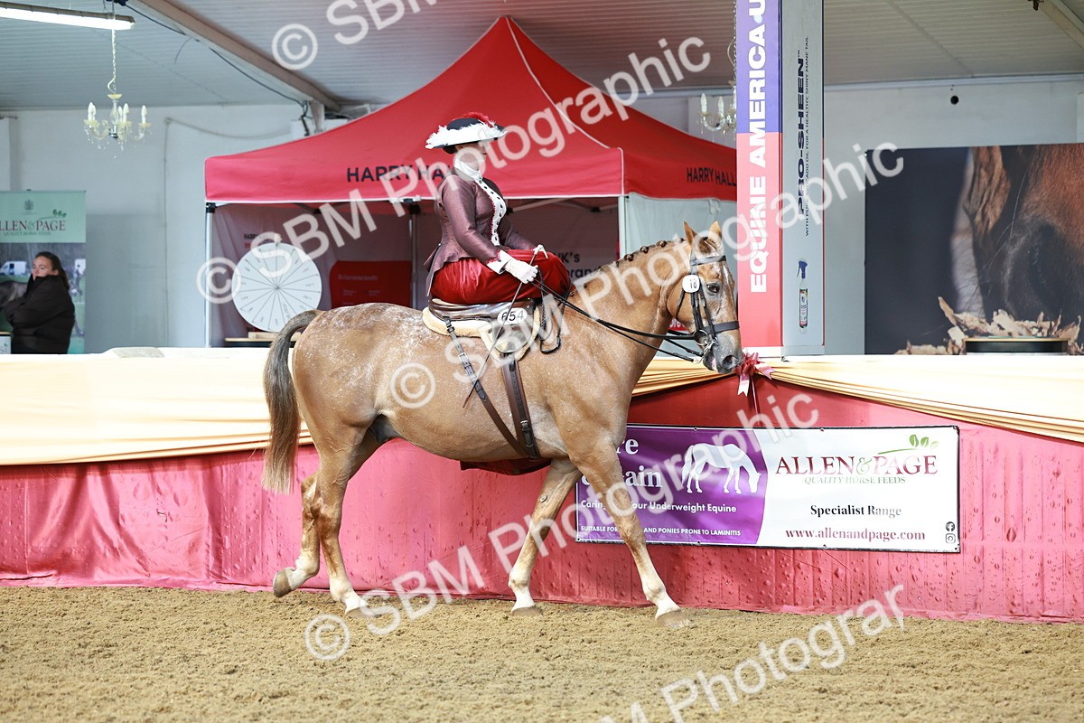 SBM_13535 - Class 105 - Ridden Costume - Side Saddle