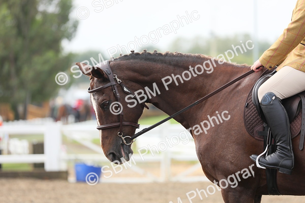 SBM_21330 - Class 805 - Ridden Veteran Horse