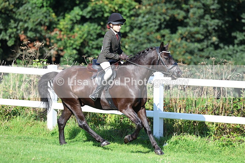 3E7A7586 - Class 1: Novice Working Hunter Pony