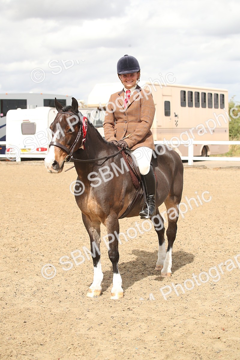 SBM_16558 - Class 506b - Working Veteran - 50cm (20+)