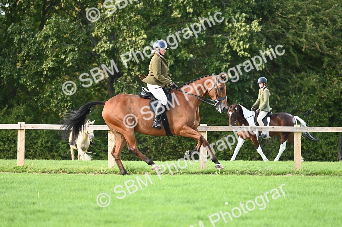 SBM_26424 - S6 - Novice & newcomer Ridden horse