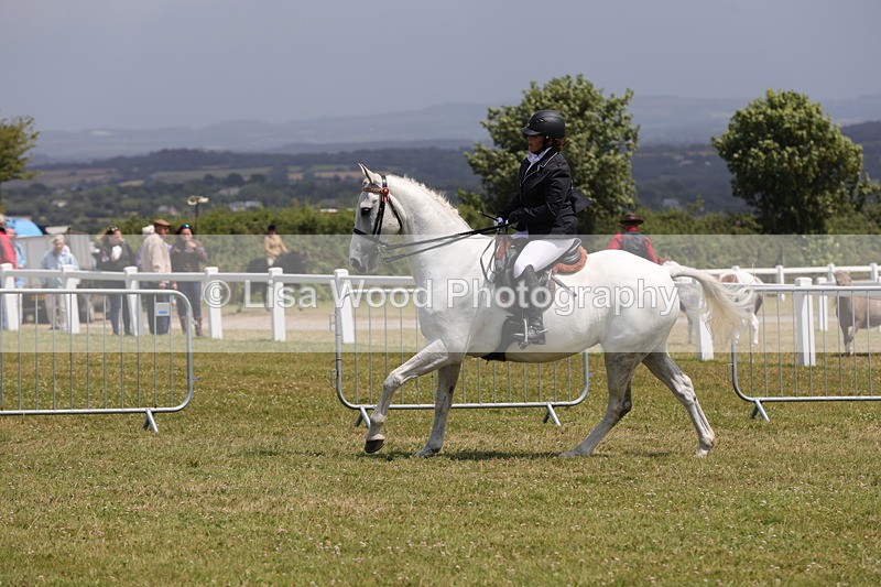 1X9A4533 - Class 34: Veteran Ridden