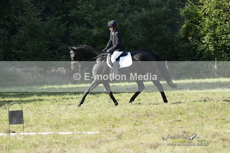 BVRC 120921 187 - Bourne Valley Riding Club UA Dressage & Show Jumping 12/09/21