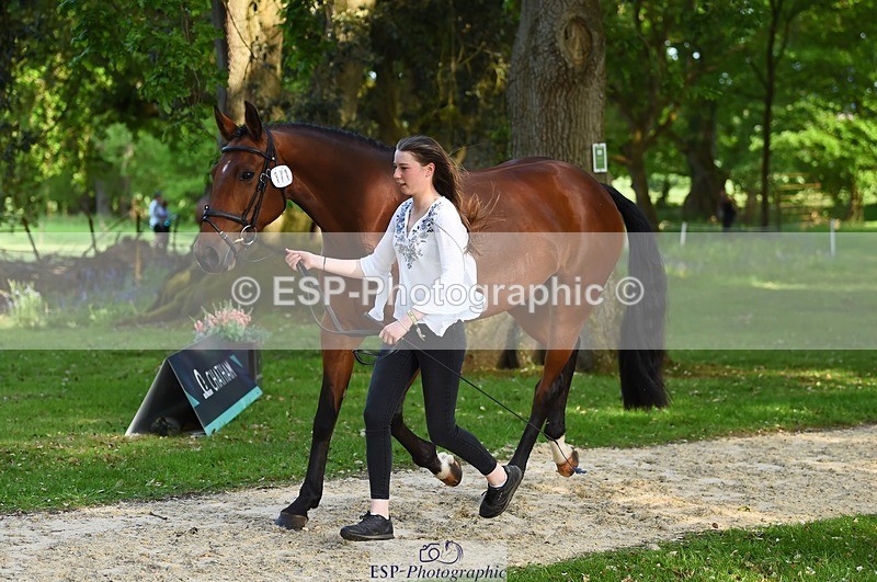 230524-171608-01393 - 171-SLANEYSIDE_COOLEY-Lara_Chapple-WEDTrotUp+DR