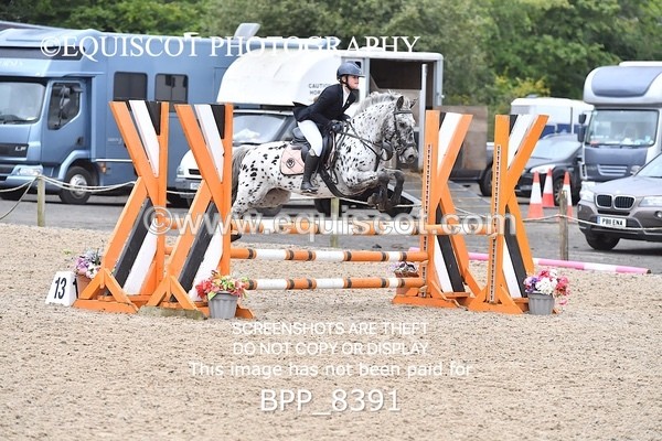 BPP_8391 - CLASS 3 Pony BritiNovice / 0.80m Open