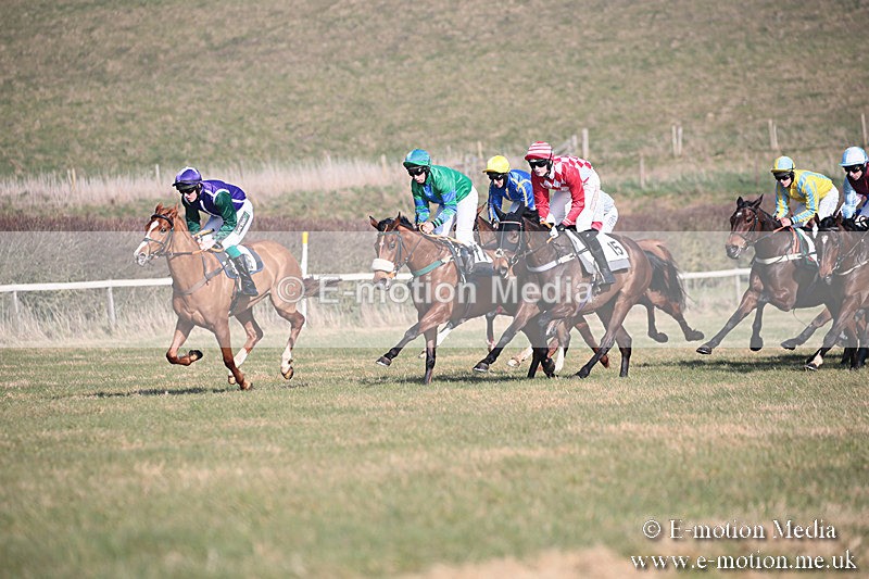 PtP 230219 223 - Vine & Craven Point-To-Point - Barbury 23/02/19