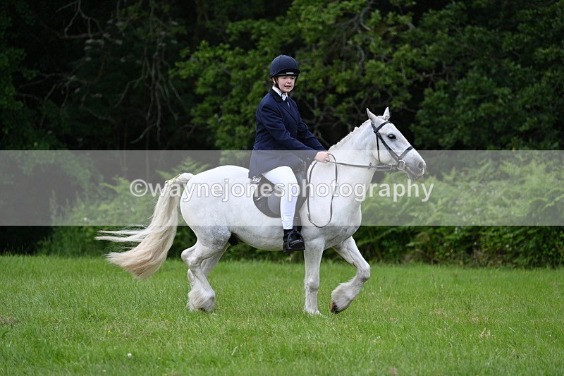 WJ7_2581 - Class 12A Coloured Class