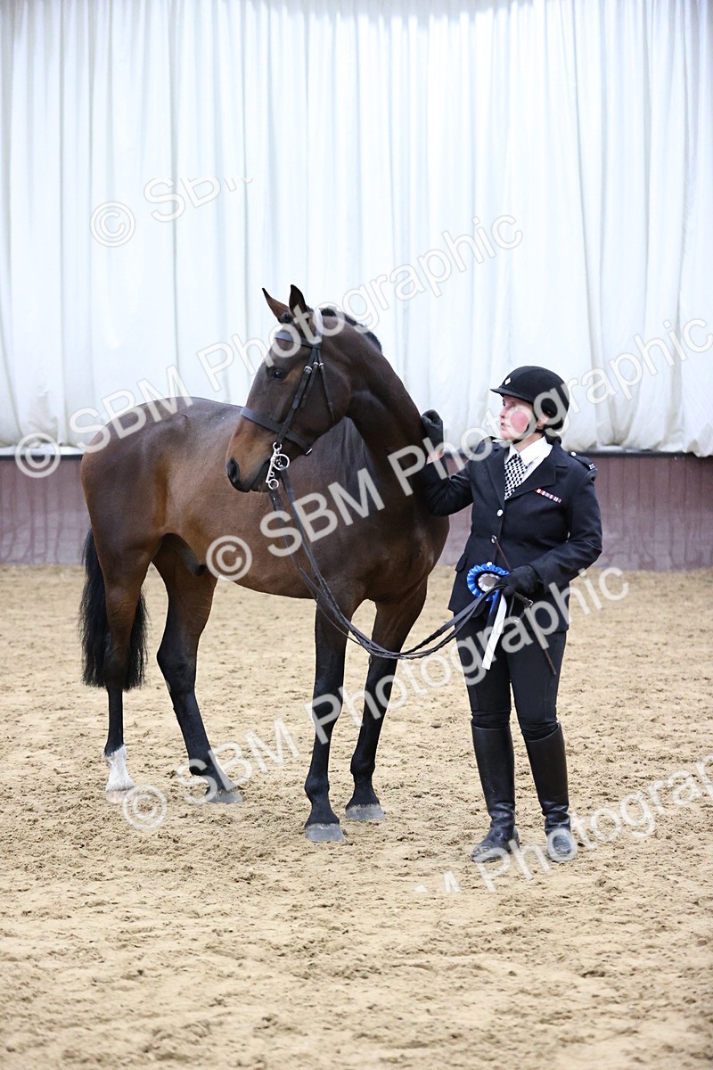 SBM_5784 - Class 3 - BSHA In Hand Show Hunter
