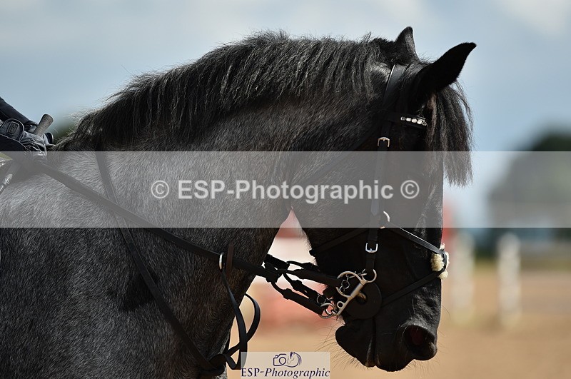 230902A-142306-01726 - Cls 3B Pony Medium 90cm